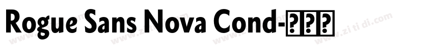 Rogue Sans Nova Cond字体转换